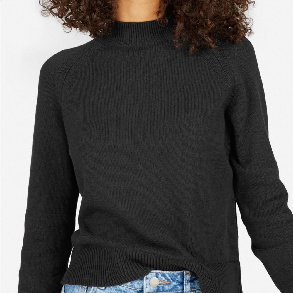 Everlane Mock Neck Crop Sweater
